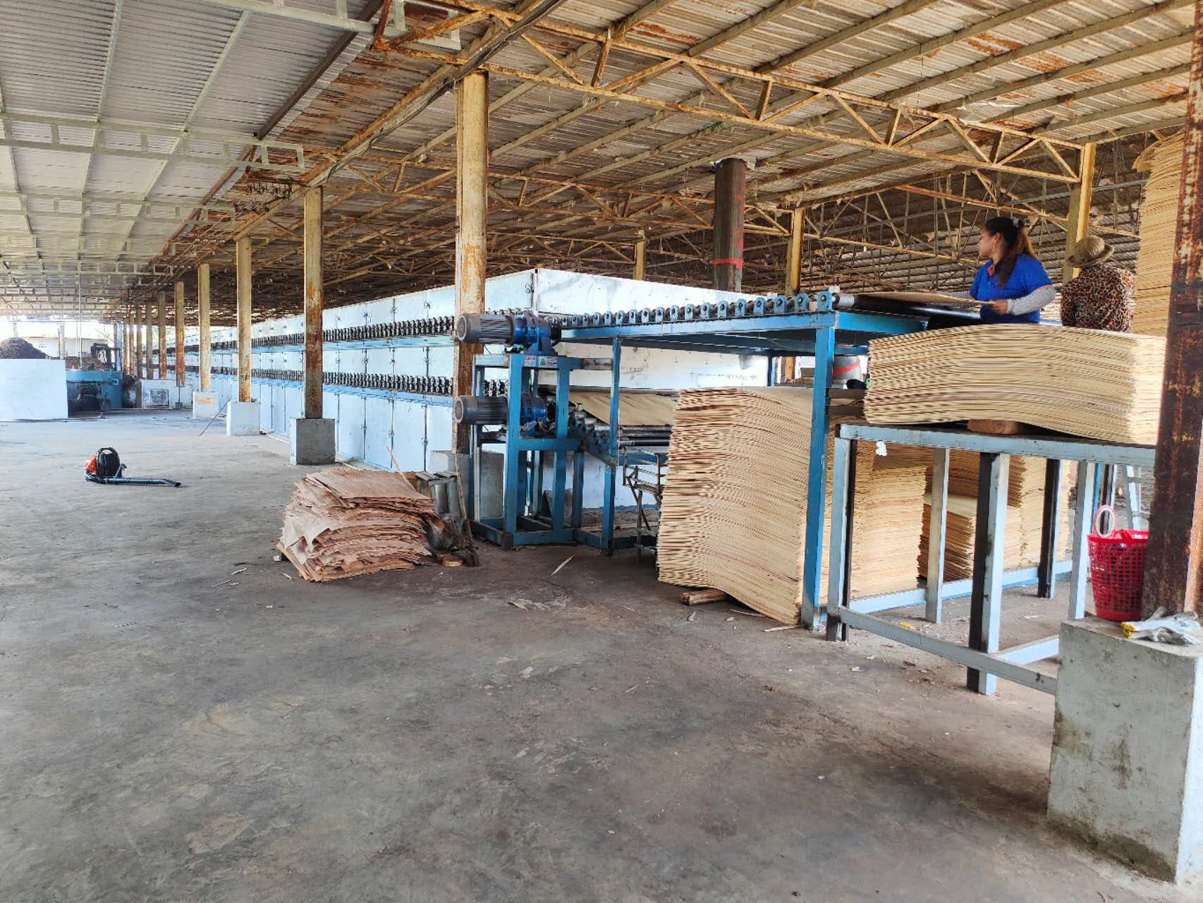 吴中相思木木皮烘干设备