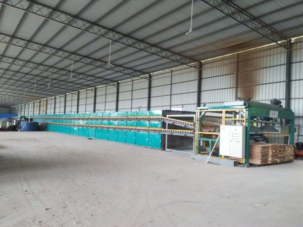 杨木亚洲国产剧情水蜜桃