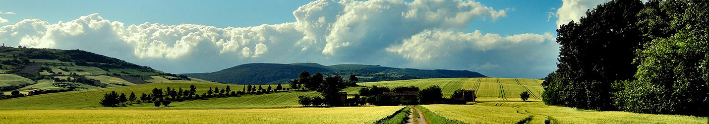 亚洲国产剧情水蜜桃