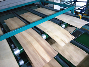 木材干燥设备 木材干燥设备