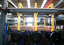 大型蜜桃在线看片案例