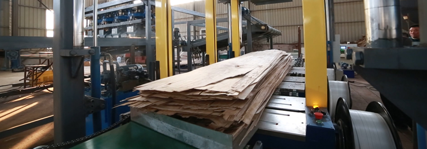 单层亚洲国产剧情水蜜桃