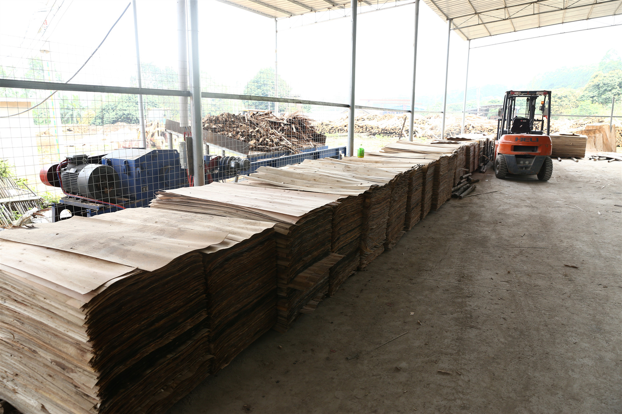 蜜桃在线看片 蜜桃在线看片