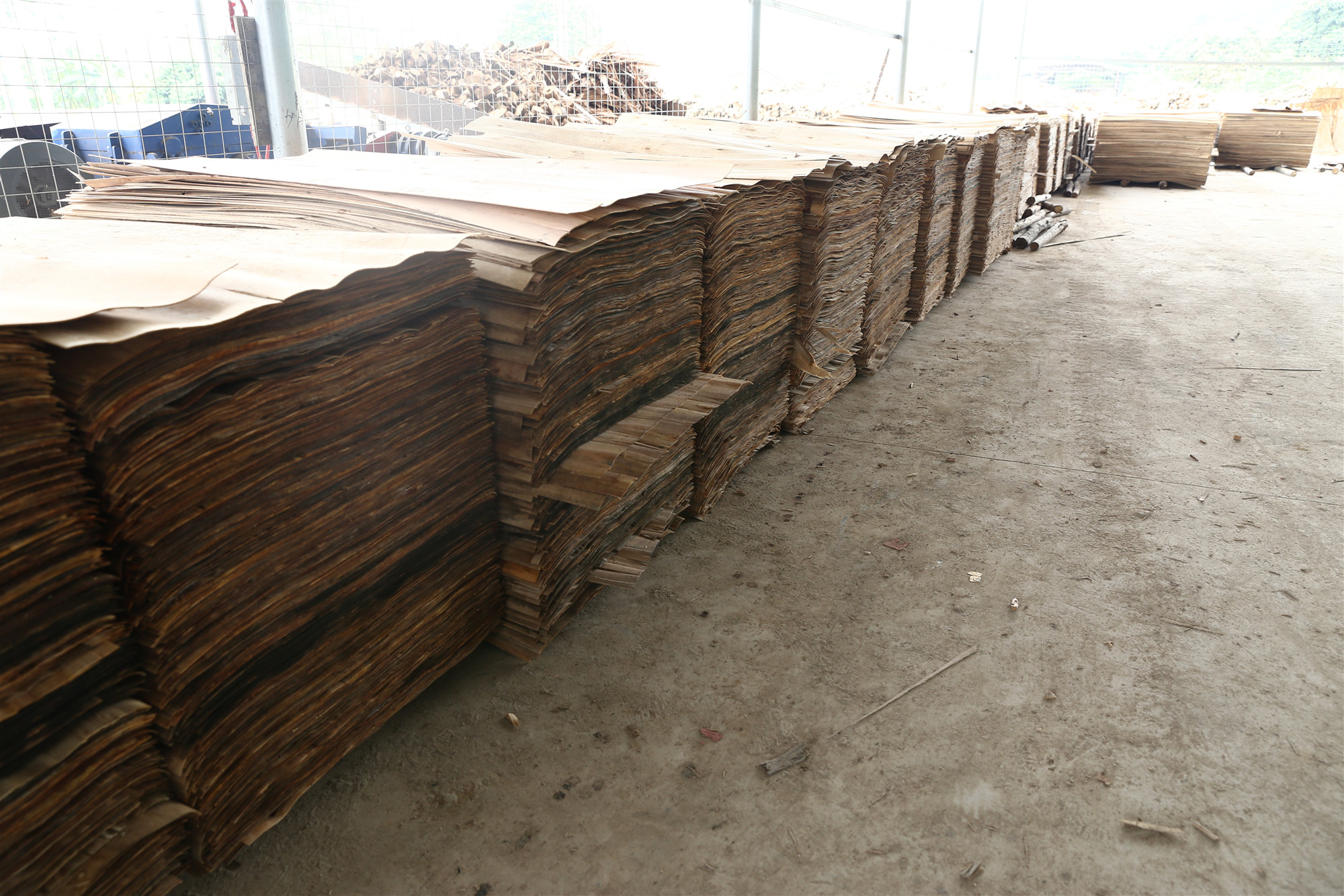 亚洲国产剧情水蜜桃 亚洲国产剧情水蜜桃