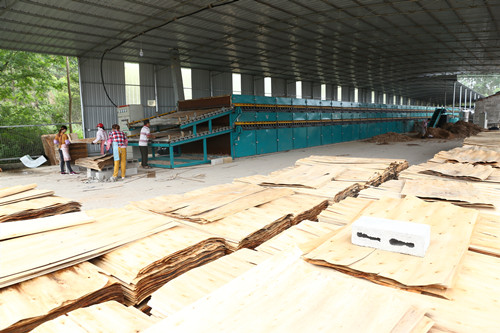 单板干燥机 单板干燥机