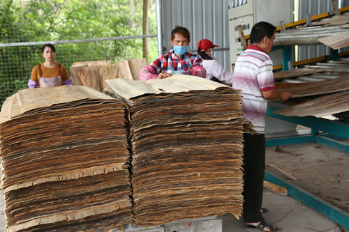 单板干燥机 单板干燥机