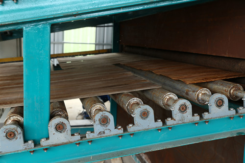 单板蜜桃在线看片