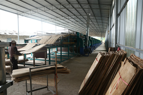 单板烘干设备 单板烘干设备