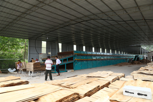 单板烘干设备 单板烘干设备