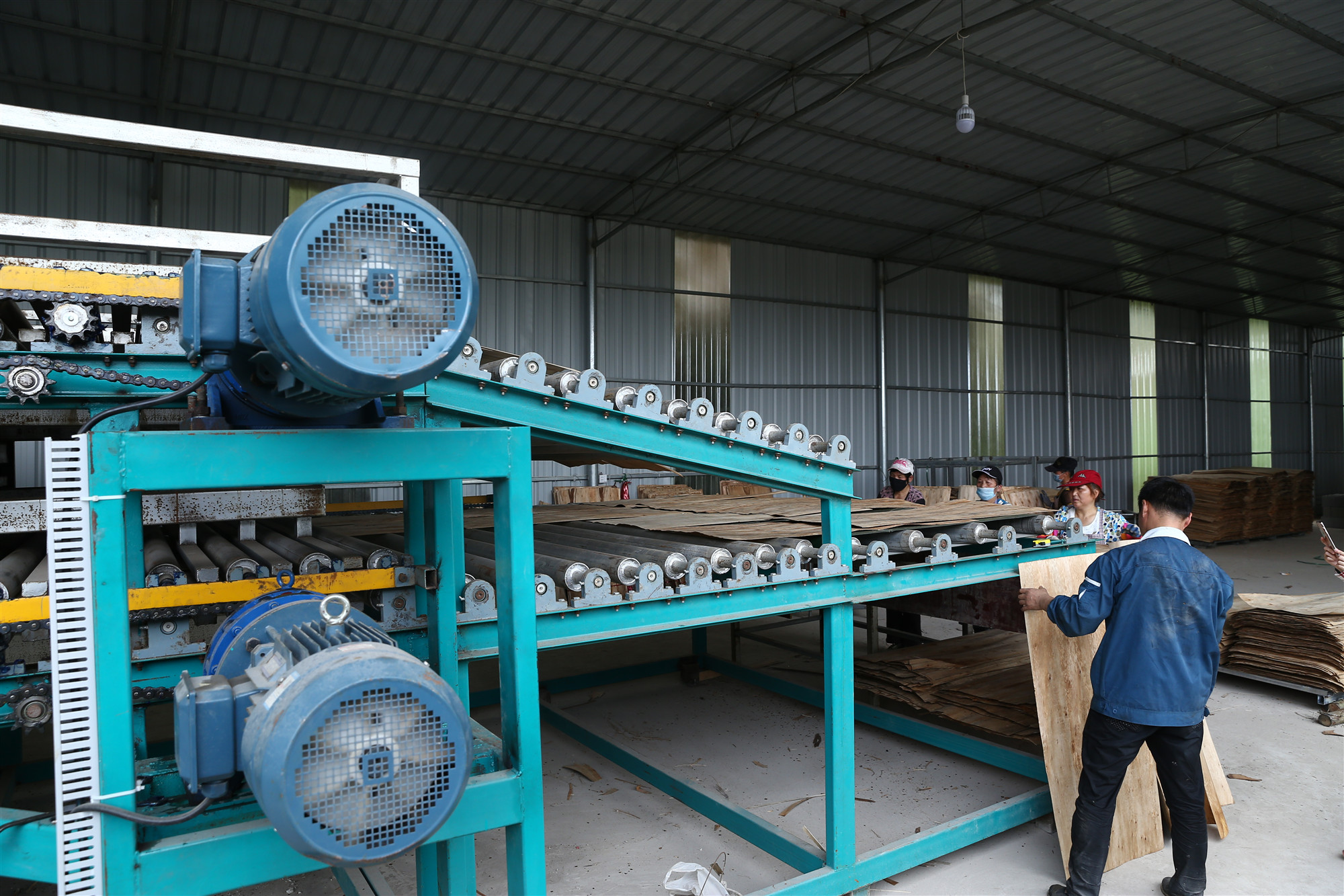 单板烘干设备 单板烘干设备