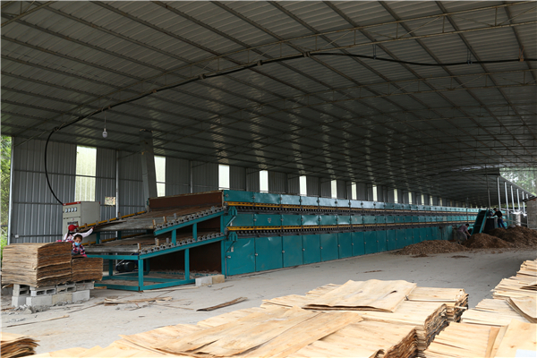 亚洲国产剧情水蜜桃 亚洲国产剧情水蜜桃