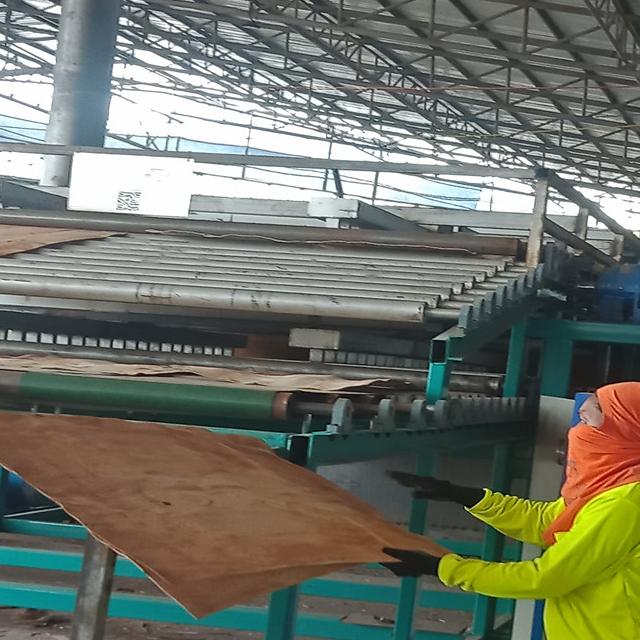 辊筒烘干机 辊筒烘干机