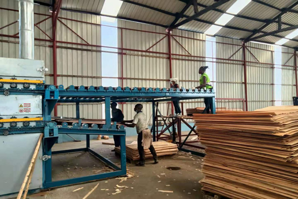 亚洲国产剧情水蜜桃 亚洲国产剧情水蜜桃