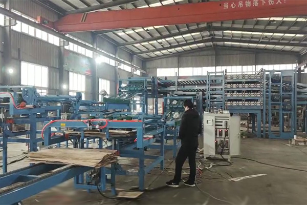 单板烘干设备 单板烘干设备